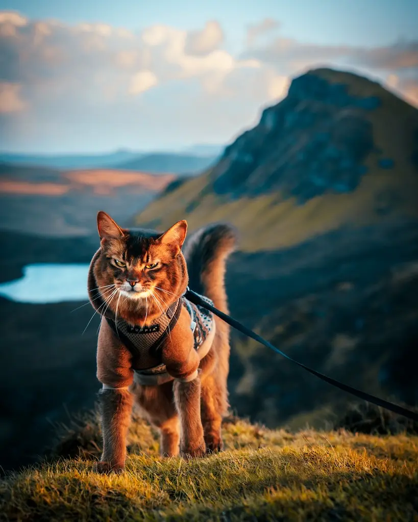 Call of Senja - Quiraing