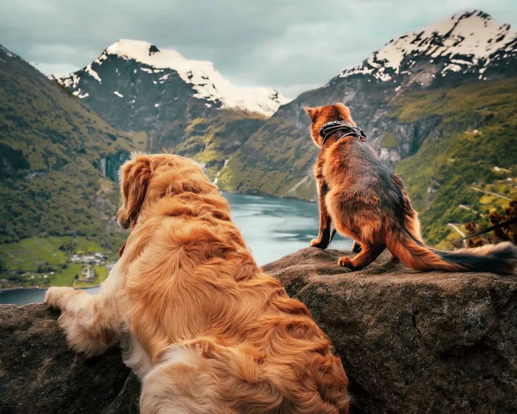 Call of Senja - Geiranger Norvège