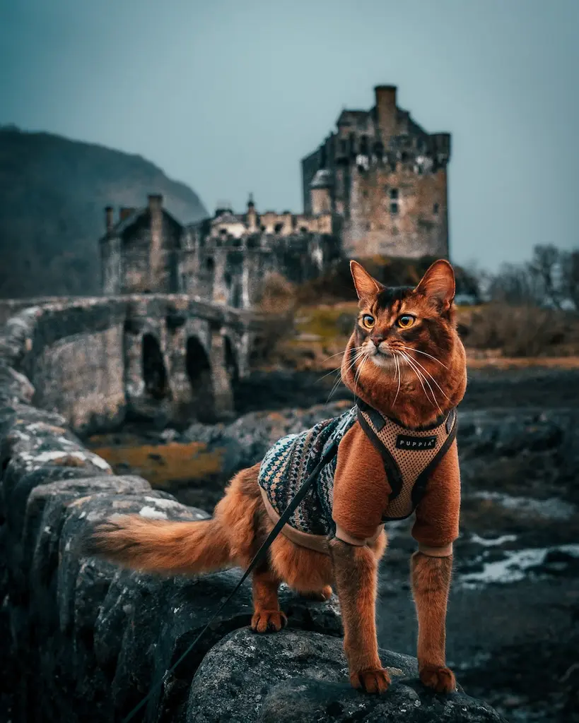 Call of Senja - Donan Castle Écosse