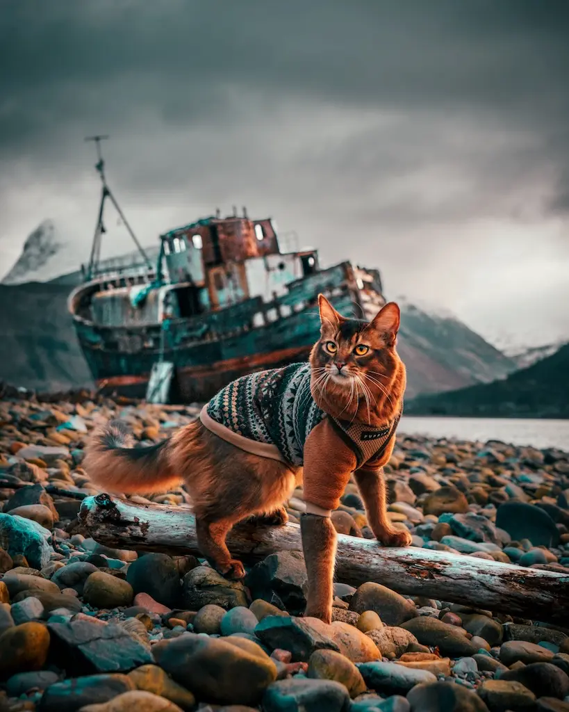 Call of Senja - Bateau échoué